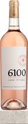 6100 Rosé